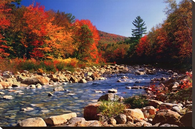 Autumn Brook Stretched Canvas Print