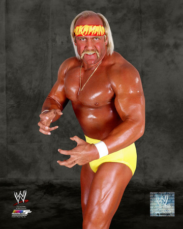 World Wrestling Entertainment - Hulk Hogan Posed Photo