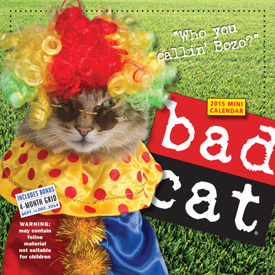 Bad cat | Bad cats, Mini calendars, Cats