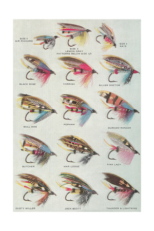 Various Dry Flies Prints