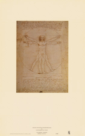 Vitruvian Man, c.1492 Prints by  Leonardo da Vinci