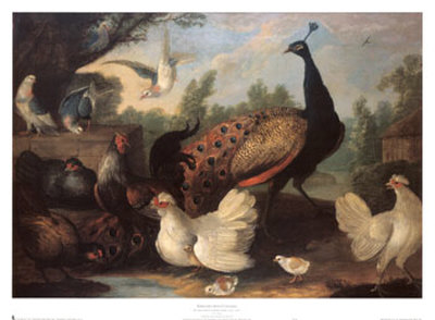 d-hondecoeter-melchior-poules-dans-une-basse-cour.jpg