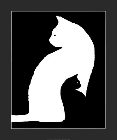 Big White Cat, Small Black black and white cat pictures. Big White Cat, Small Black