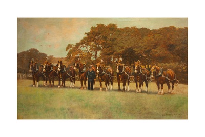 Shire Horses, 1896 Giclee Print by James Weaver Tattersall