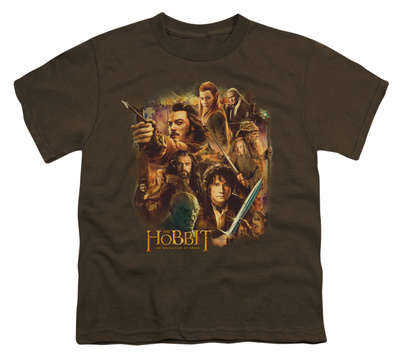 Youth: The Hobbit: The Desolation of Smaug - Middle Earth Group T-shirts