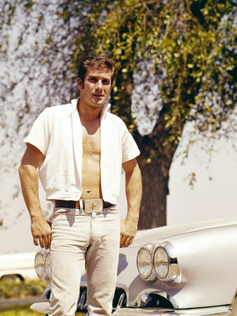 Robert Fuller Photo