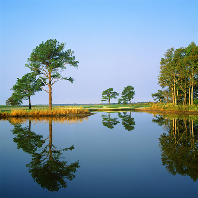 Reflection of Trees on Water, Ocean City Golf and Yacht Club, Berlin, Worcester County Photographic Print by Green Light Collection