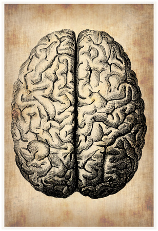 Vintage Brain Prints by  NaxArt