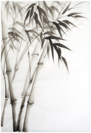 Watercolor Painting Of Bamboo Poster by  Surovtseva