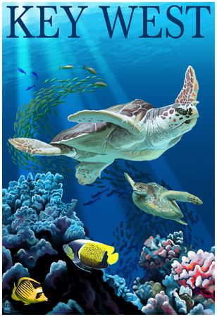 Key West, Florida - Sea Turtles Posters