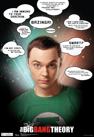 Big Bang Theory Sheldon Quotes Television Poster Posters