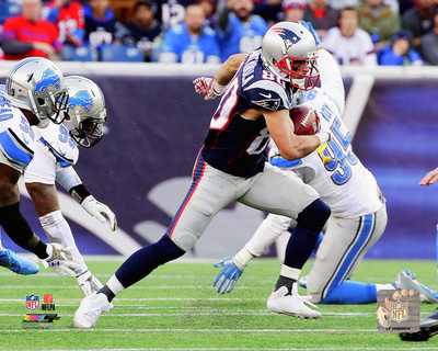 Danny Amendola 2014 Action Photo