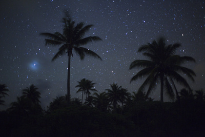 Palm Trees on a Beach Silhouetted Against a Starry Sky Photographic Print by Aaron Huey