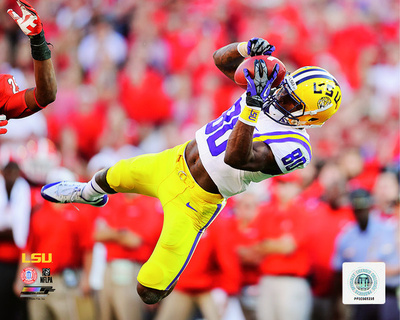 Jarvis Landry LSU Tigers 2013 Action Photo