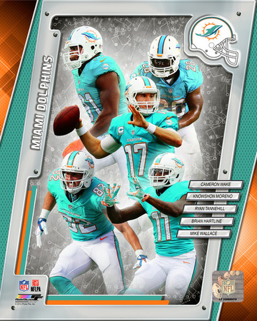 Miami Dolphins 2014 Team Composite Photo