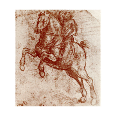 Study of a Knight, 1913 Giclee Print by  Leonardo da Vinci!