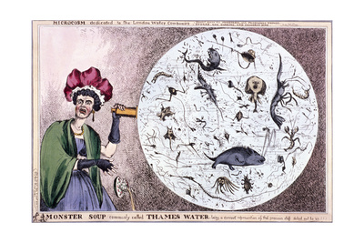 Monster Soup Commonly Called Thames Water..., 1828 Giclee Print by Thomas McLean