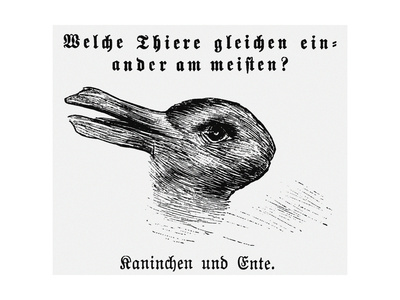 Duck-Rabbit Illusion. From: Jastrow, J. the Mind's Eye. Popular Science Monthly Giclee Print by Joseph Jastrow