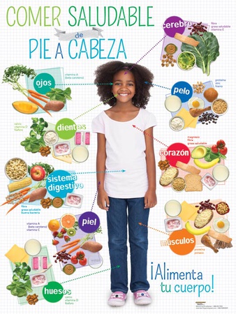 Kids Healthy Eating From Head To Toe Spanish Poster Poster