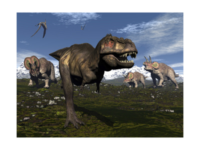 Tyrannosaurus Rex Attacked by Three Triceratops Posters by Stocktrek Images