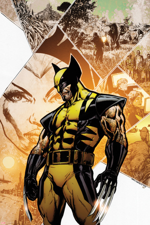 Savage Wolverine 12 Cover: Wolverine Plastic Sign by Phil Jimenez