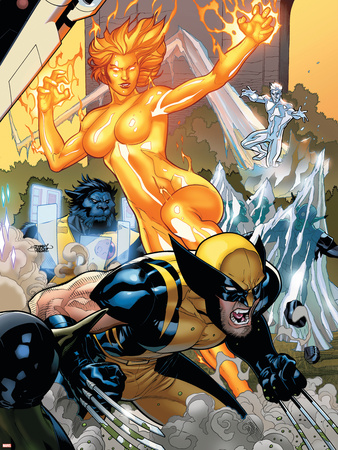 Secret Invasion: X-Men No.4 Cover: Wolverine and Phoenix Plastic Sign by Terry Dodson!