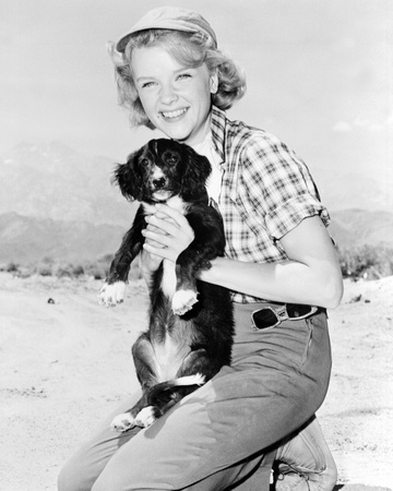 Anne Francis Photo