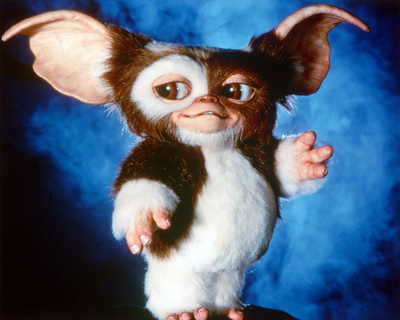 Gremlins Photo