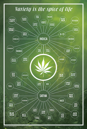 Cannabis- Variety Is The Spice Of Life Prints