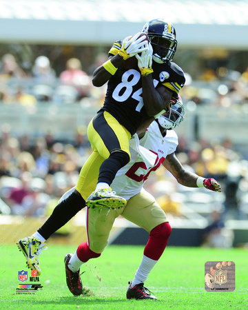 Antonio Brown 2015 Action Photo