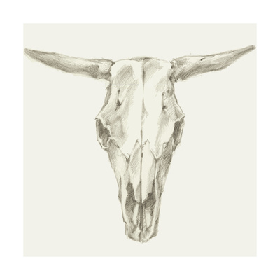 Western Skull Mount II Prints by Ethan Harper