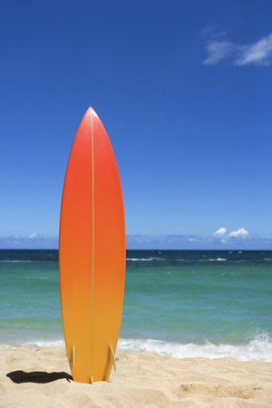 Surfboard on Beach Photographic Print by  Jupiterimages