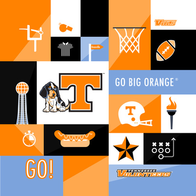 Tennessee Volunteers Collage Photo by  Lulu