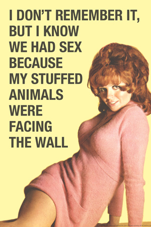 Don't Remember Sex But Stuff Animals Facing Wall Funny Poster Photo by  Ephemera