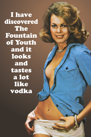 I Discovered Fountain Of Youth It Tastes Like Vodka Funny Poster Prints by  Ephemera