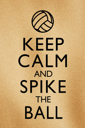 Keep Calm and Spike the Ball Beach Volleyball Poster Posters