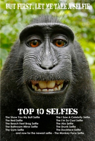 Monkey Selfie Print