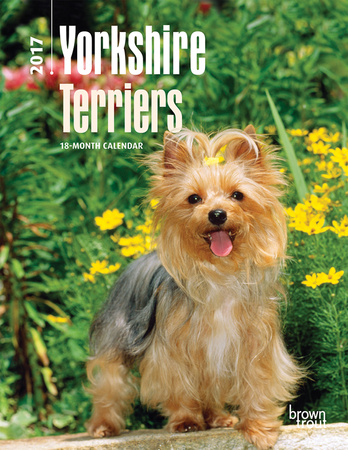 Yorkshire Terriers - 2017 Planner Calendars