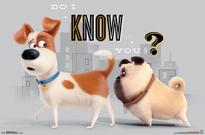 Secret Life Of Pets- Do I Know You Prints