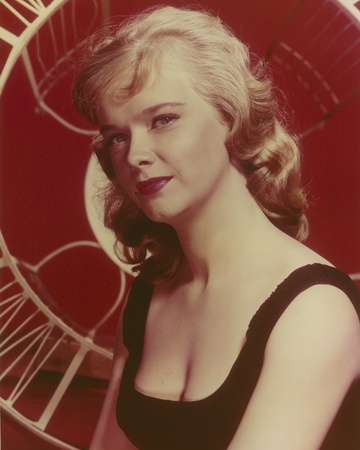 Anne Francis in Black Dress Close Up Portrait Photo by  Movie Star News