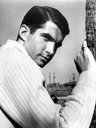 George Hamilton Posed in White Shirt Photo by  Movie Star News