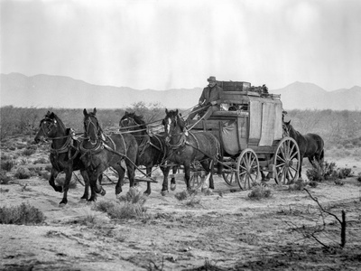 Hombre Group of People Searching in Black and White Photo by  Movie Star News