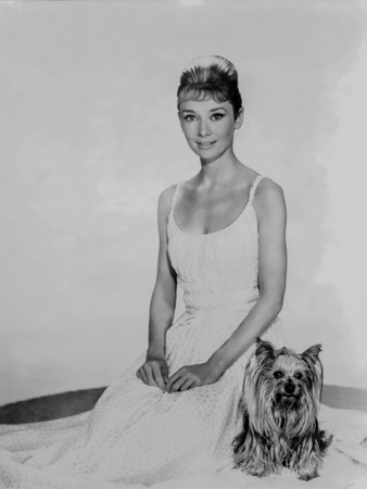 Audrey Hepburn in a Summer Dress with her Dog Photo by  Movie Star News