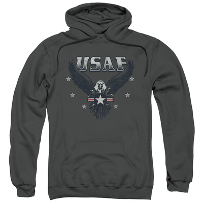 Hoodie: Air Force- Streaking Eagle Shield Pullover Hoodie