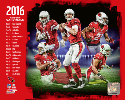 Arizona Cardinals 2016 Team Composite Photo