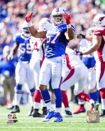 Lorenzo Alexander 2016 Action Photo