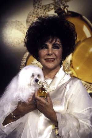 Elizabeth Taylor Photo by  Globe Photos LLC