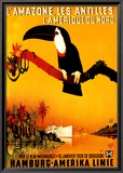 L'amazone Les Antilles Poster by Peter Fussey