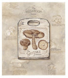Mushroom Posters by Lisa Audit