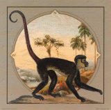 Primate Oasis I Prints